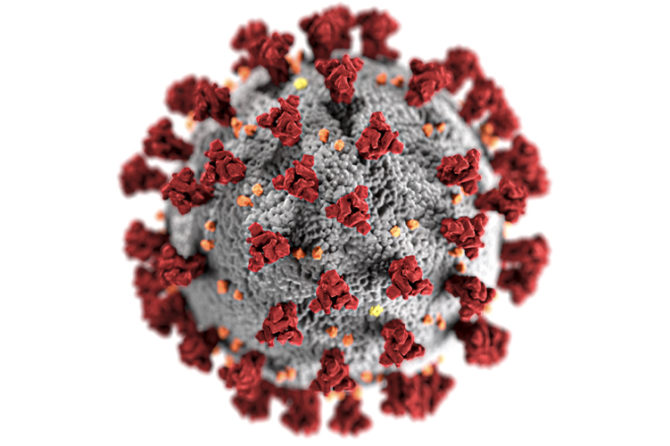 Az új koronavírussal kapcsolatos hasznos ismeretek – tájékoztató, tanácsok, teendők