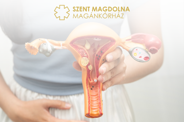 Stressz és hormonális egyensúly: mi a kapcsolat?